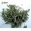 Chinese herbal medicine Nettle leaf Relieve itchy skin joint pain Edible