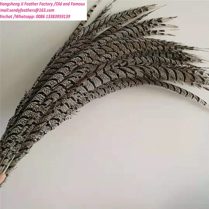 zebra natural color.jpg