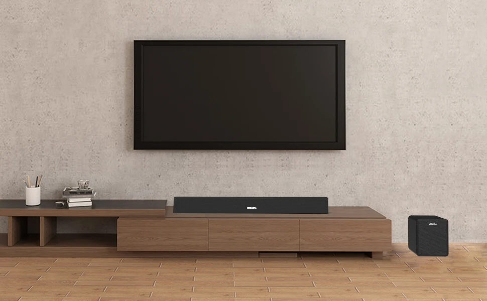 Megaphone Portable Loudspeaker with Subwoofer for Home TV - ANKUX.COM