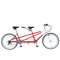 

26inch 18 speeds mountain retail on sale 20% CE OEM EN14764 cheap double person tandem bicycle