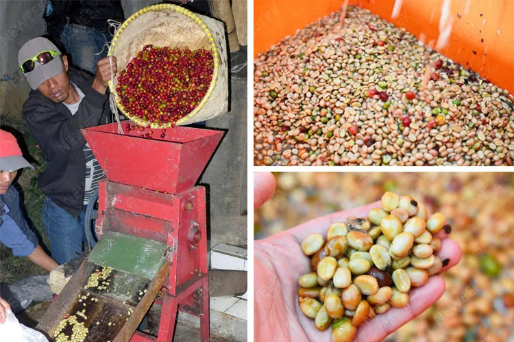 NEWEEK America market hand cacao peeling coffee bean pulper for sale