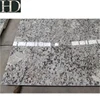 Prefab Homes Natural Stone White Granite Countertop for Kitchen