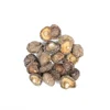 Superior Quality Health Supplement natural Organic wild Dried shiitake mushroom in Lower Price