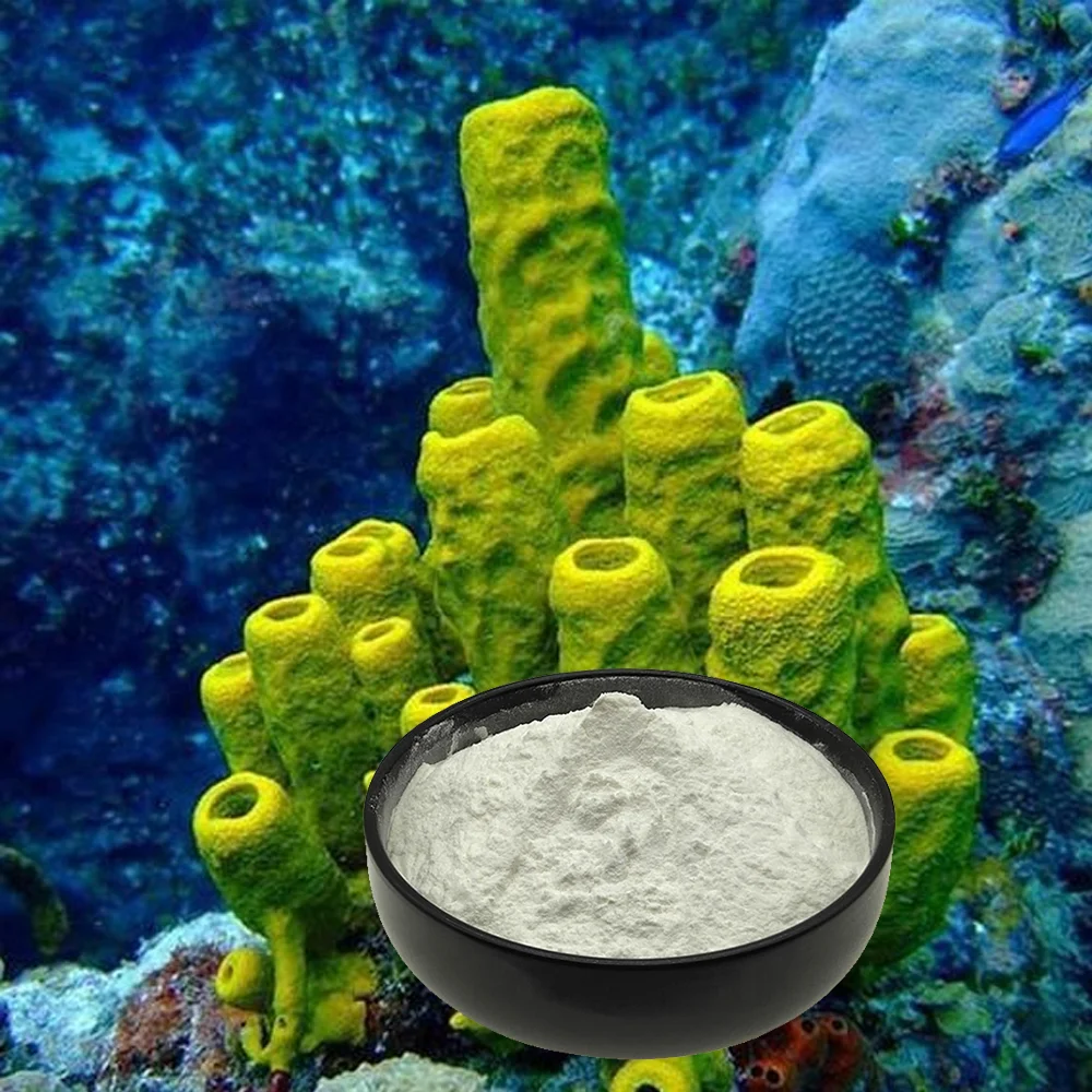 High Quality Hydrolyzed Sponge Extract For Peeling Product Hydrolyzed