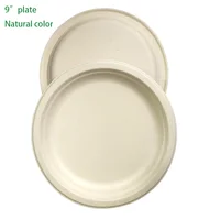 

Disposable sugarcane bagasse plate