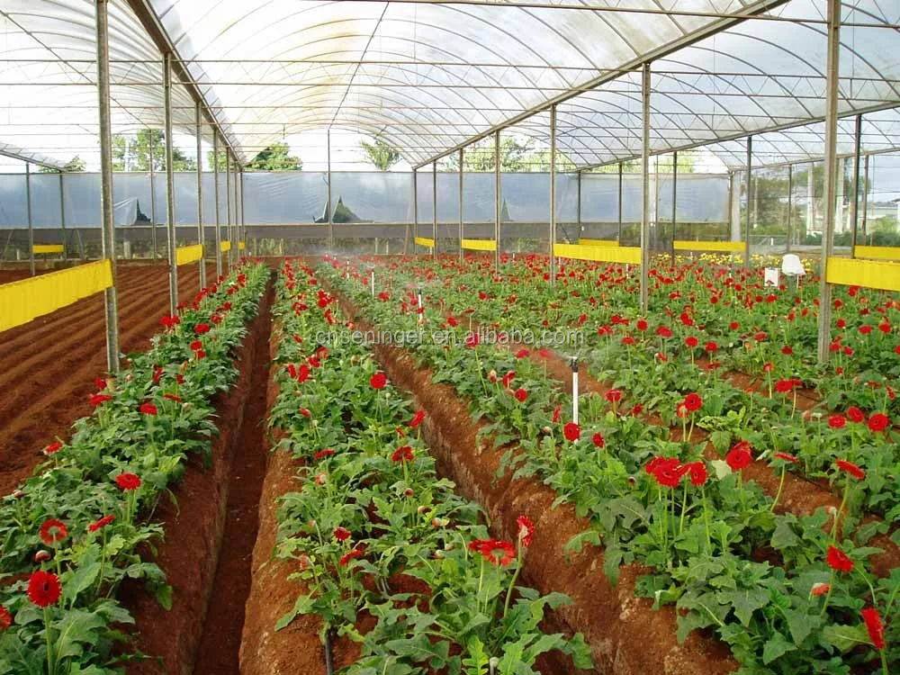 2015 Hot Product Pretty High Performance Magic Garden Hose