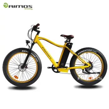 1000w mid drive electric bike kit