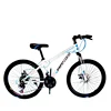 100% New Material 24 inch 21speed Road Bike Mountainbike for young people