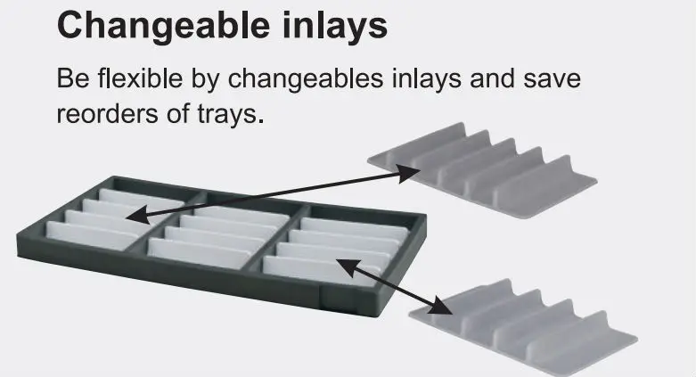 Changeable inlays.jpg