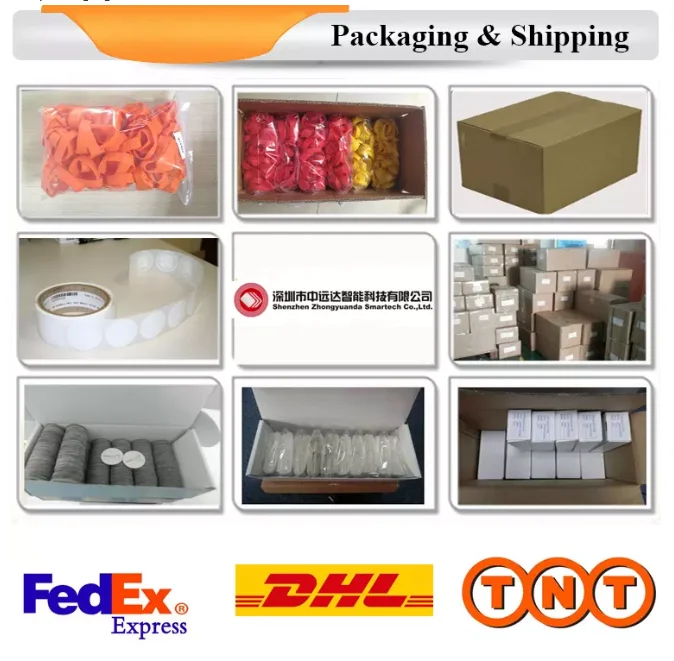 shipping2