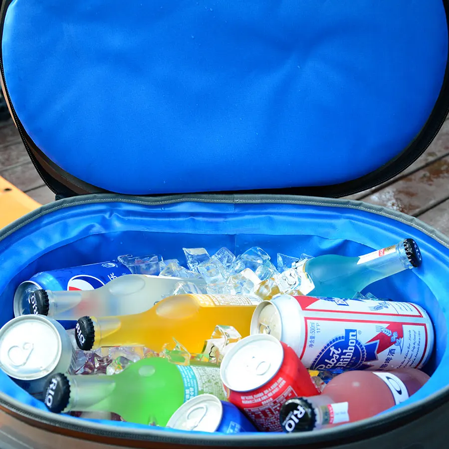 inside of cooler bag.jpg