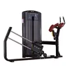 AD-16A Standing Leg Extension machine commercial gym equipment