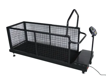 High Quality Treadmill Pets Treadmill - Buy High Speed Treadmill For