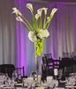Tall Slim Clear Cylinder Glass Vases for Wedding Table Decoration