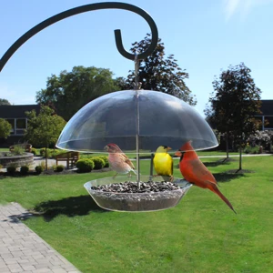 Clear Dome Bird Feeder Clear Dome Bird Feeder Suppliers And
