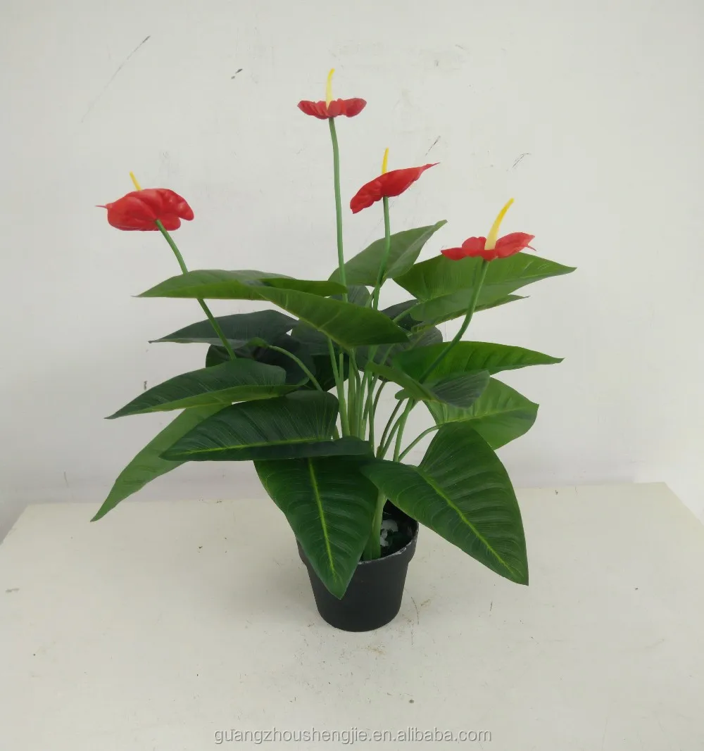 IMG20160831155444 750.jpg