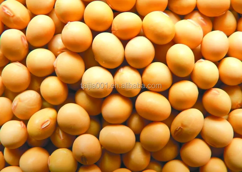 
soyabean meal for animal feed 
