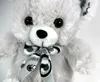 Luckiplus Hot Sale First Class Adorable Bear Grey and White Safe Technology Toy For Kids