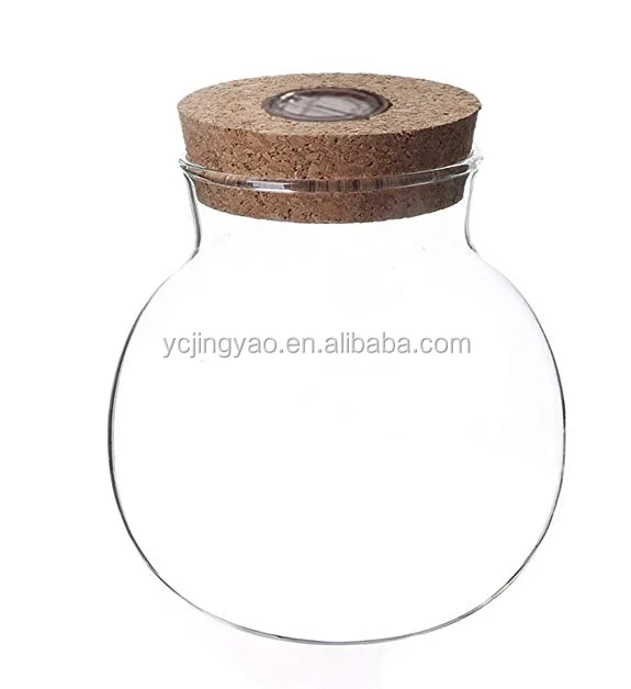 

Clear Round Glass Globe Ball Jar Terrarium with LED Light in Cork Lid