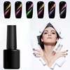 Free Sample Private Label Magnetic Gel LED Soak Off 5D Cat Eye UV Gel Nail Polish