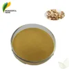 Pure Radix Isatidis Powder Isatis Root P.E. Powder Indigowoad Root Extract
