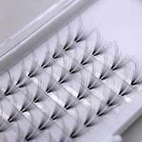 

14D Premade Fans14D Lashes Volume Lashes Premade Fans