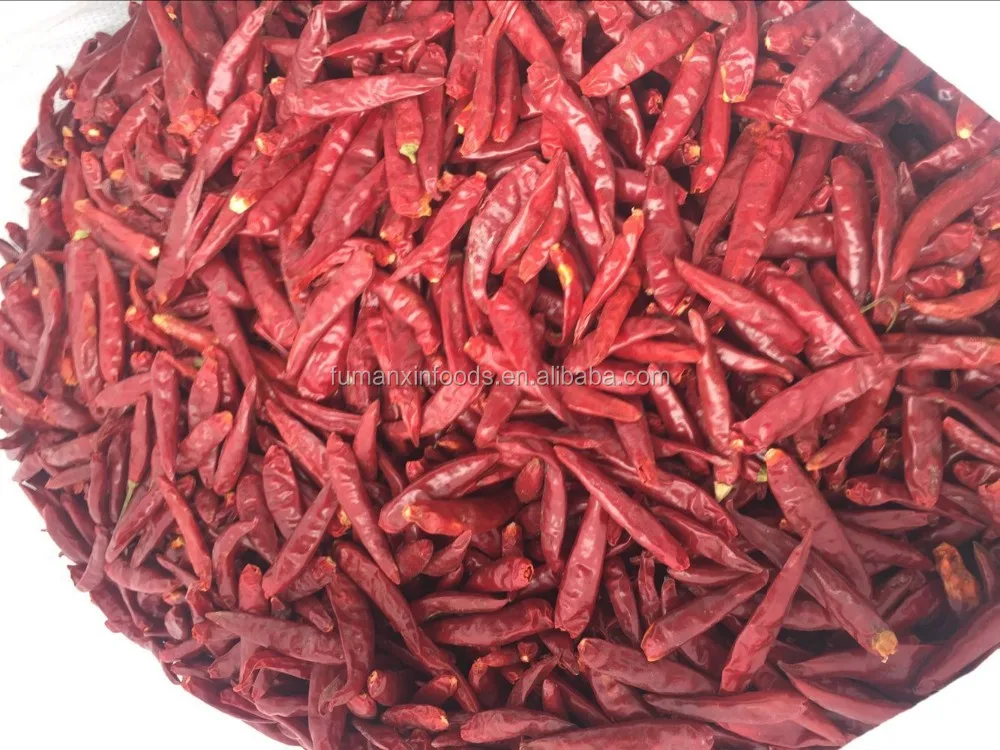 chaotian chilli (2)