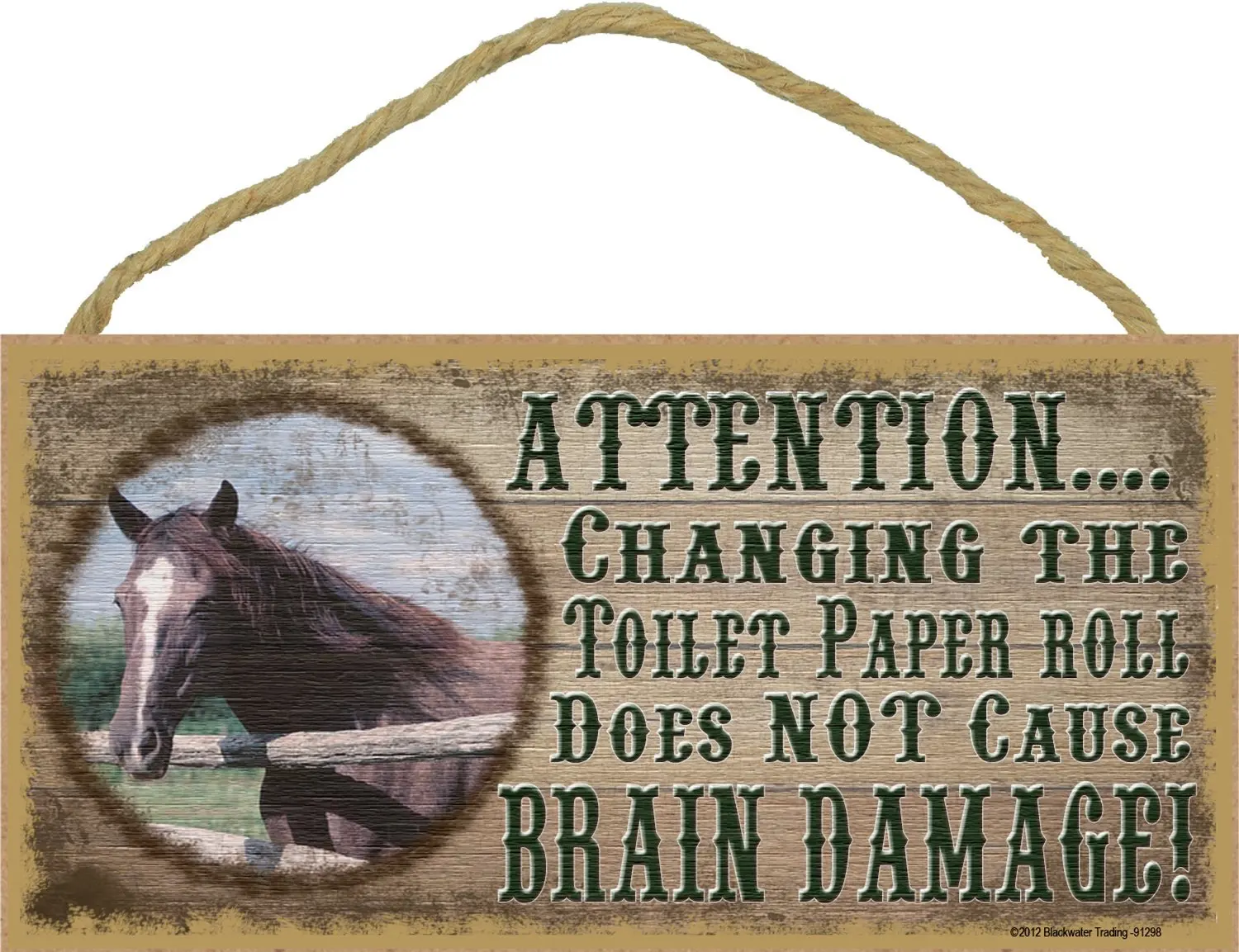 Blackwater Trading Hummingbird Changing The Toilet Paper Roll Brain Damage Bathroom Sign 5X10