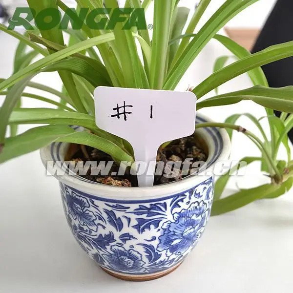 T shaped plant labels