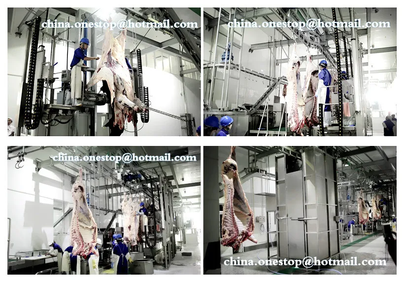 Meat processing equipment machines Abattoir slaughterhouse cattle and pig slaughtering line
