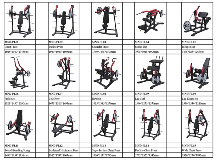 Free Loading Plate Loaded Commercial Gym Equipment Hip Developer ...