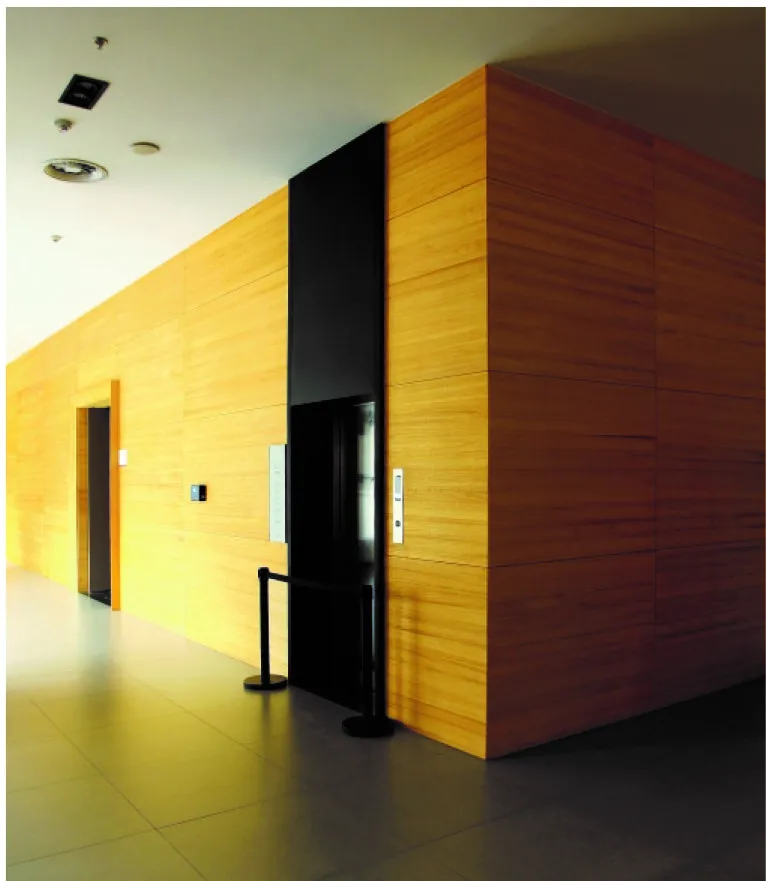 China Supplier Of Cement Board Acoustic Ceiling Tiles Wooden Grain