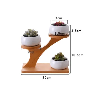 Image of Planter Pots Indoor, 3 Pack 3 Inch White Ceramic Decorative Small Round Flower Plant Pot with Tree Tier Bamboo