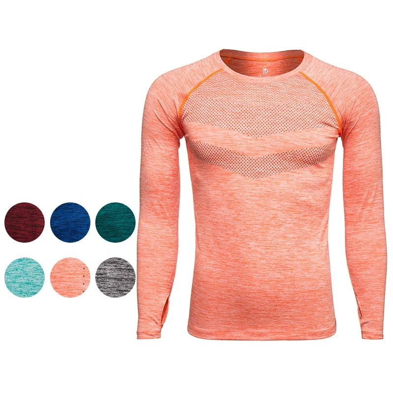 

NO MOQ muscle dry fit custom logo mens fitness sport long sleeve gym t shirt