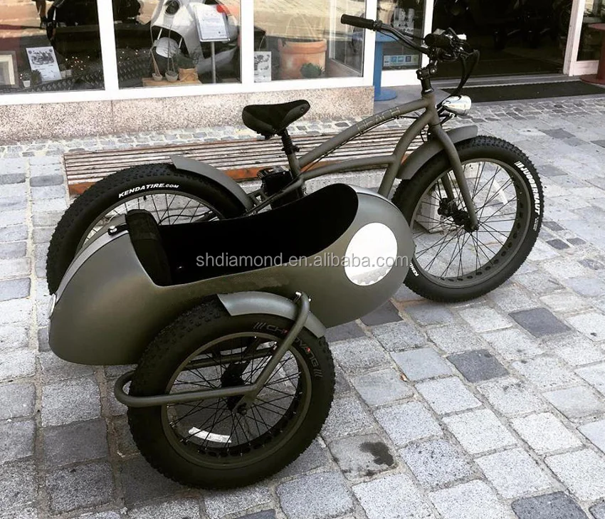 e bike with sidecar
