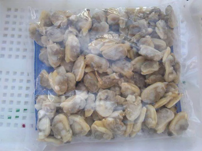 Frozen Whole Raw Yellow Baby Clam Meat Buy Frozen Whole Raw Clam