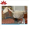 Theriatrics veterinary science model horse skeleton model