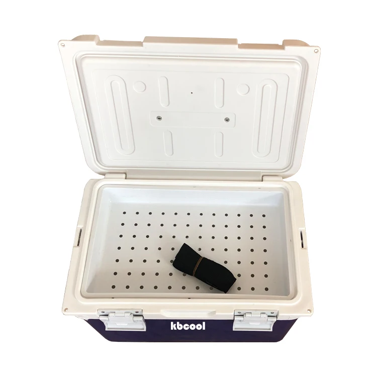 17l Kbcool Pu Foam Vaccine Insulin Medical Transport Cooler Box Buy