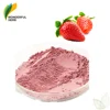 Organic flavor juice Freeze Dried fruit extract pure strawberry powder