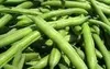 beans