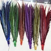 Wholesale 10-100Pcs beautiful natural pheasant tail feathers 50-55cm/20-22inches different size and color available