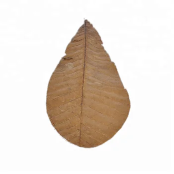 Bbq Pad And Food Packing Steaming Vacuum Pack Dried Hoba Leaves - Buy ...
