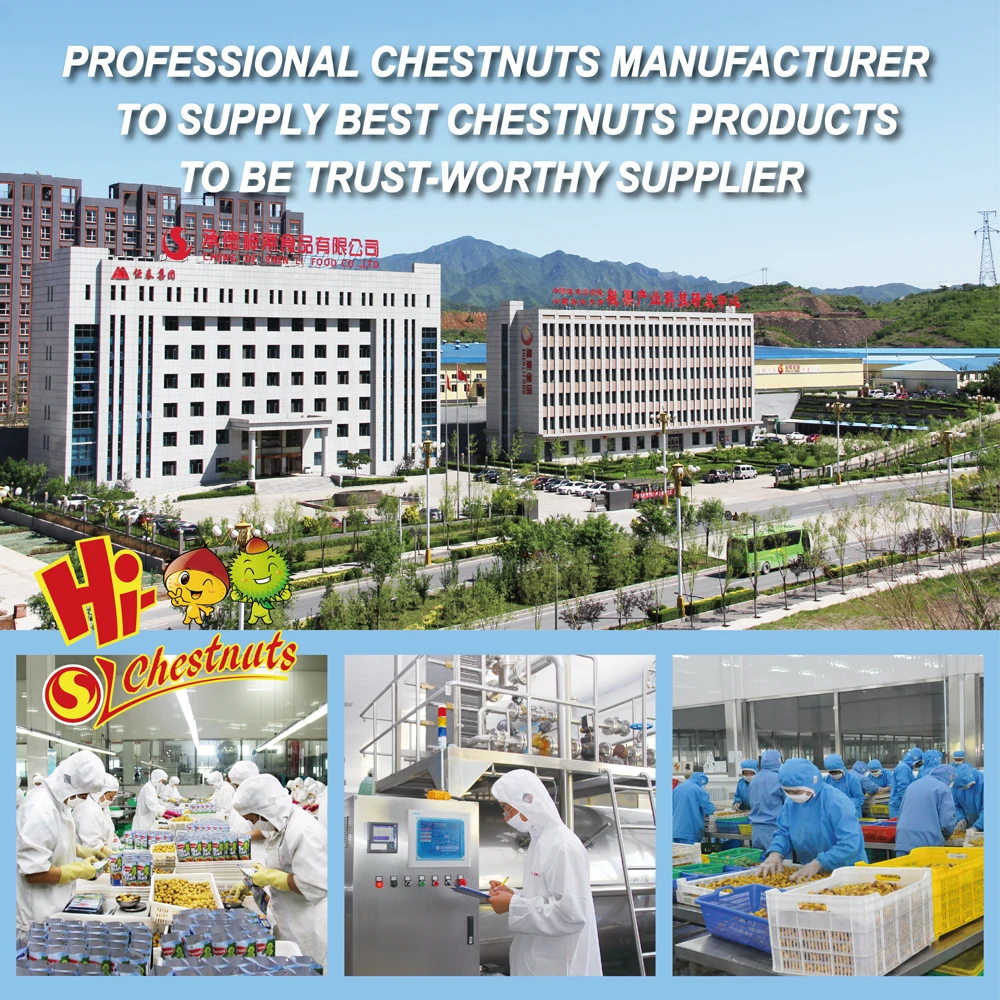 Factory abd office-02.jpg