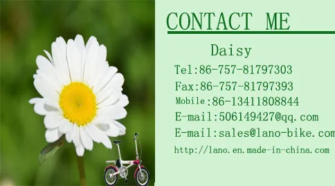 Daisy