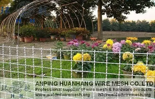 40472.6903399884_zhw_023_nEO_IMG