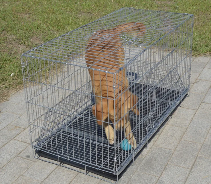 Cheap 24" 30" 36" 42" 48" 60" Inch Metal Wire Dog Cage Pet Crate Dog