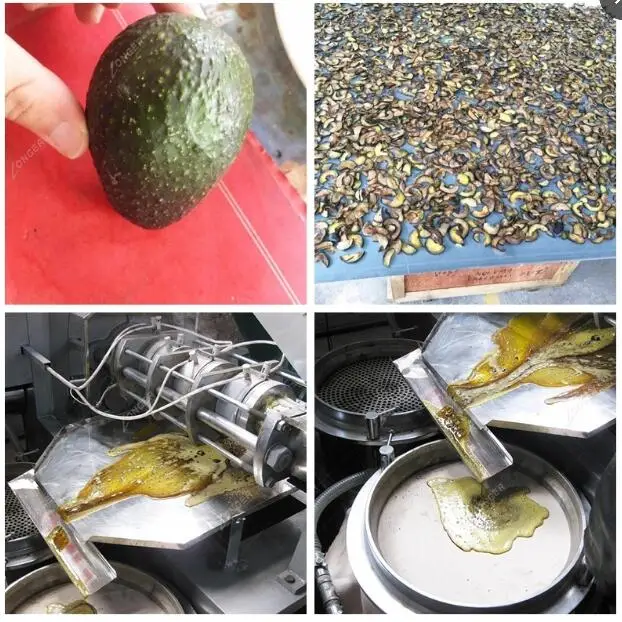 Avocado Oil Extraction Machine And Mustard Oil Machine Price India