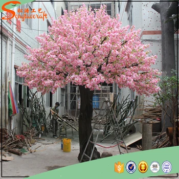 Sutra Buatan Pohon Bunga Sakura Dan Palsu Buatan Dalam Luar Ruangan Ceri Blossom Pohon Untuk Dekorasi Pernikahan Buy Pohon Ceri Ceri Blossom Ceri Blossom Pohon Product On Alibaba Com