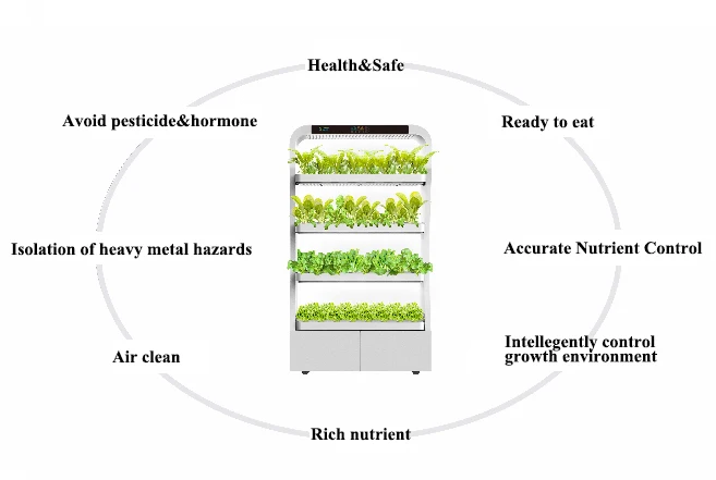 Efficient Greenhouse and Hydroponic Growing System for Indoor Herb Garden with Light