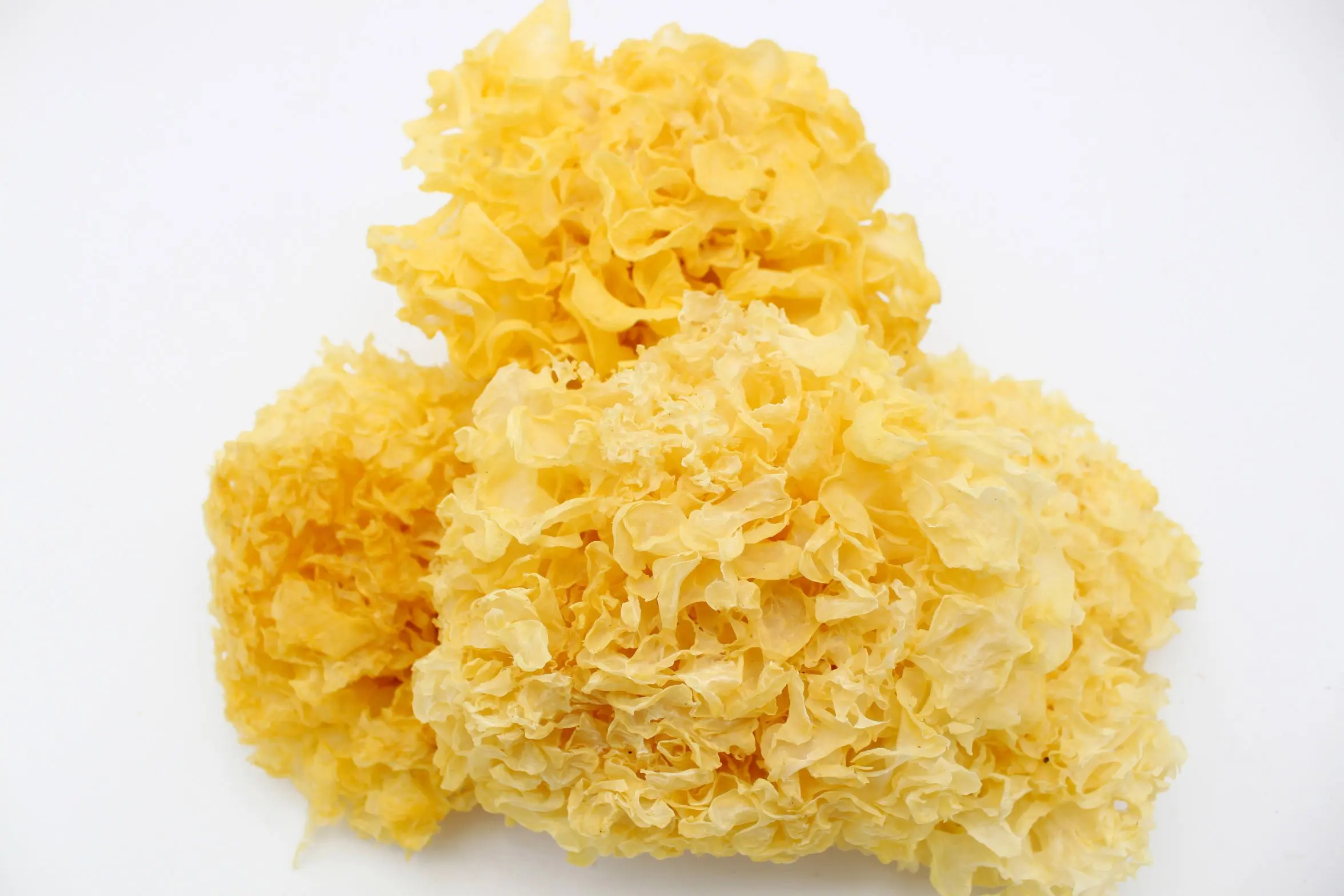 Dried Snow Fungus / White Fungus / Yin Er 雪耳 銀耳 Free Worldwide Airmail (300g 10.58oz)